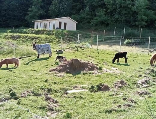 Agroturystyka Magiczna Dolina Jamcito
